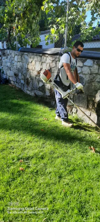 Servicio de jardinería por horas