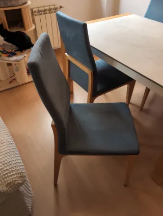 Mesa comedor y 6 sillas