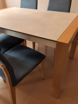 Mesa comedor y 6 sillas