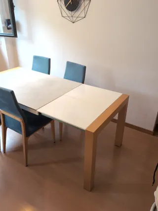 Mesa comedor y 6 sillas