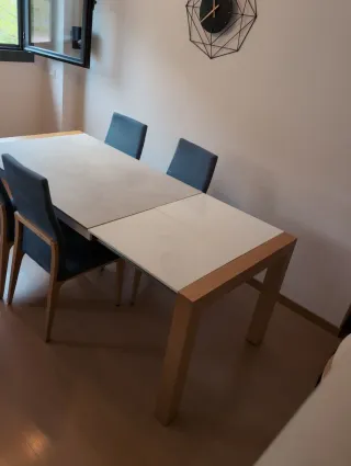 Mesa comedor y 6 sillas