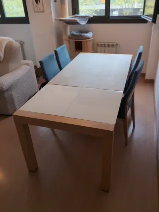 Mesa comedor y 6 sillas