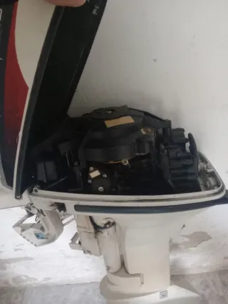 Motor Johnson 2T 9.9 CV