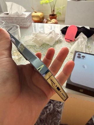 iPhone 13 Pro Max Viola e Argento