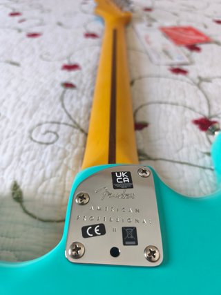 Fender Stratocaster American Pro II