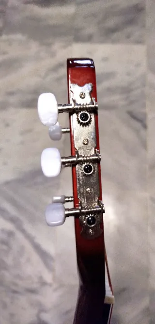 Guitarra Española Rocio C16N