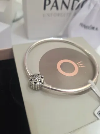 Pulsera Pandora Moments Edición Limitada