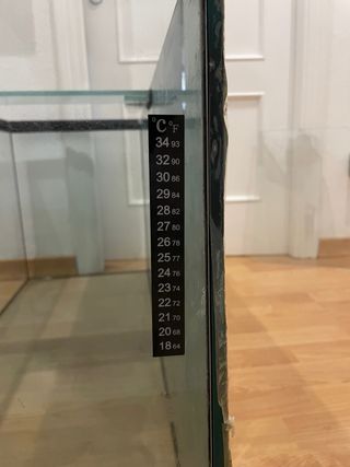 Pecera grande con fondo decorado