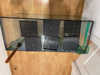 Pecera grande con fondo decorado