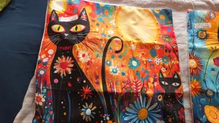 Set 4 federe 50x50cm gatti colorati