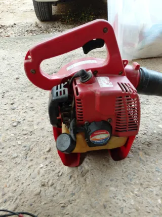 Desbrozadora y soplador gasolina Homelite