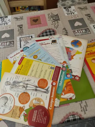 GERONIMO STILTON LAMINAS 7-8, 8-9, 9-10 AÑOS