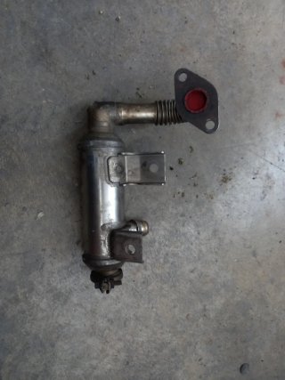Enfriador Válvula EGR Ford focus