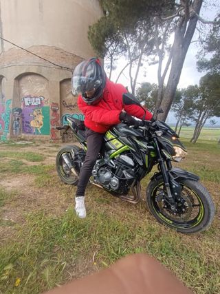 Kawasaki Z900 Negra y Verde limitada en papeles A2