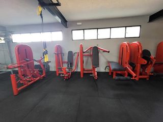 Lote Gimnasio Musculación Profesional
