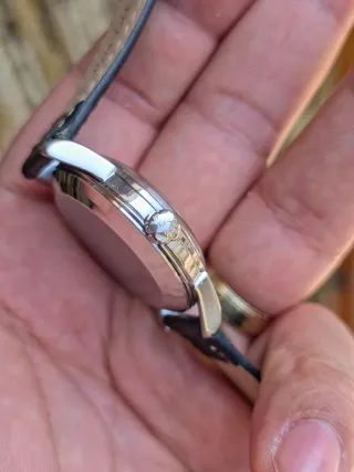 Omega Bumper Seamaster