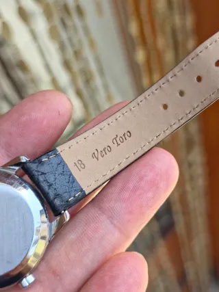 Omega Bumper Seamaster
