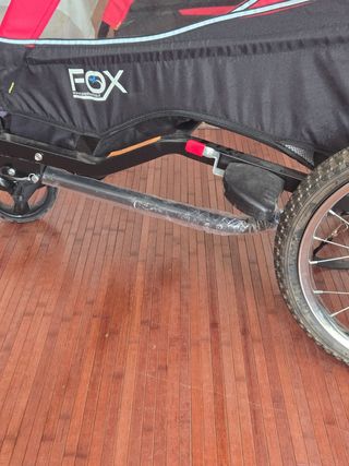 Carro/Remolque Bicicleta Niño Rojo