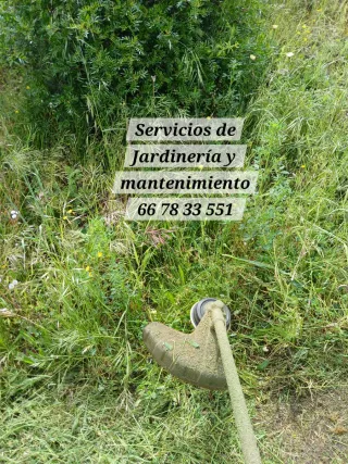 Servicios de Jardinería y Mantenimiento