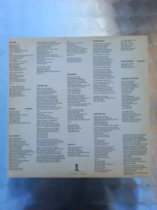 Vinilo TOM WAITS - Rain Dogs
