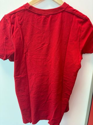 Camiseta Hollister Roja con Dibujo de Gaviota