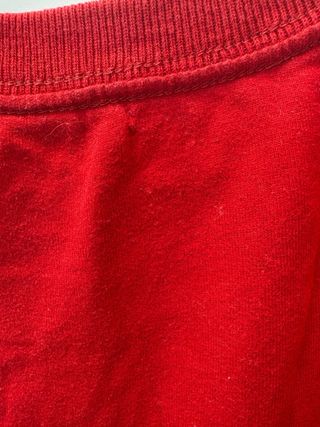 Camiseta Hollister Roja con Dibujo de Gaviota