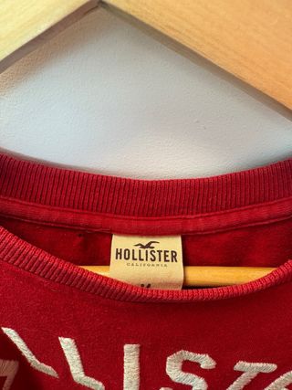 Camiseta Hollister Roja con Dibujo de Gaviota