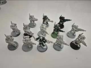 Karskin Guardia Imperial Astra Militarum