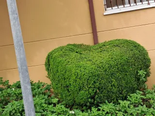 Servicios de Jardinería y Piscinas