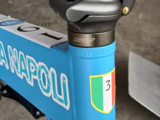 Bici elettrica Forza Napoli