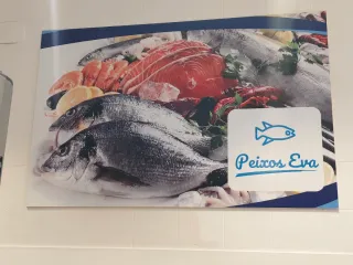 Red de pesca decorativa con conchas