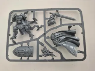 Stormcast Eternal Knight Questor sprue