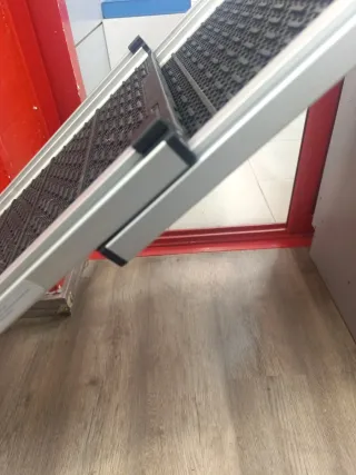 Rampa para Mascotas Dogwalk 3