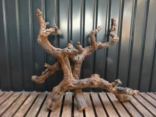 Raíz/tronco COMPOSICIÓN Decoración acuario