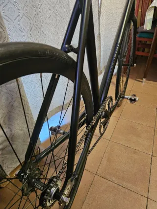 ♠️ SNTFX RAVAL ♠️