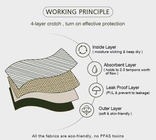 Lote 10 Bragas Menstruales Talla 4XL