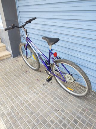 Bicicleta Globe Trotter 26 Pulgadas 18 Velocidad