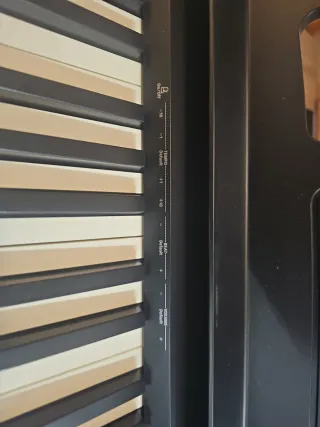 Tastiere digitali con supporto