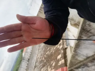 Caña de pesca