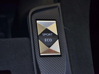 DS DS 7 BlueHDi DE 96kW (130CV) AT. PERF.LINE