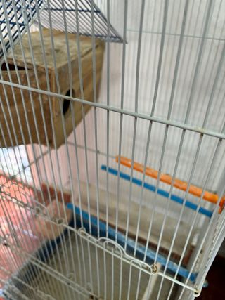 Jaula grande para pájaros