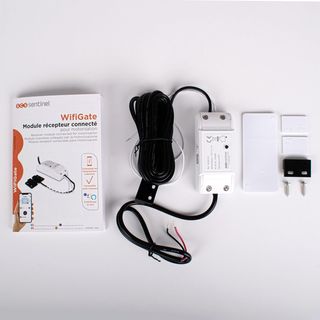 SCS Sentinel, AAM0125, Módulo receptor conectado p