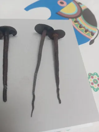 6 clavos forja antiguos cabeza redonda