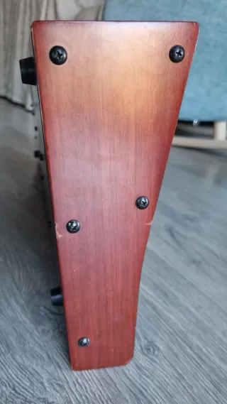 Behringer Deepmind 6 con Estuche Rígido