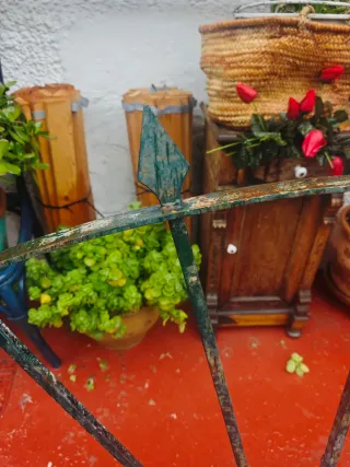 Reja Solarium Abanico Hierro Forjado