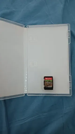 Minecraft Nintendo Switch