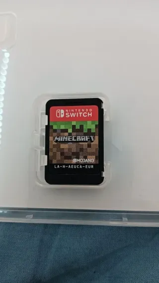 Minecraft Nintendo Switch