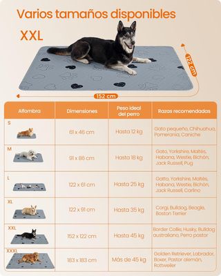 Tappeti lavabili per cani Feandrea, tappeti assorbenti riutilizzabili