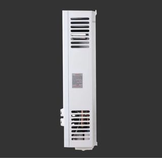 Calentador agua gas 20L