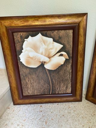 Set 2 Cuadros Flores 50x60